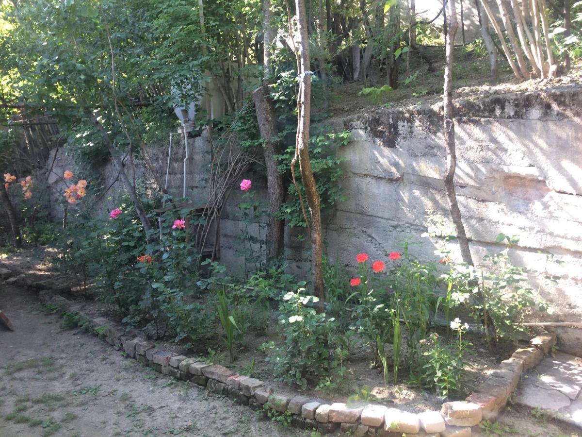 Guesthouse Malkhazi Borjomi Eksteriør bilde